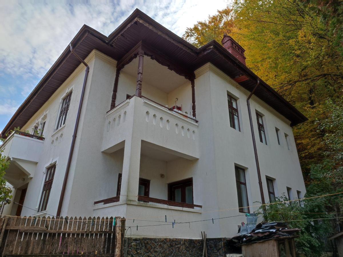 Vila Brazilor Caciulata Buitenkant foto